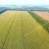 Продаются земли сельхоз назначения Крупнейшего Агропромышленного Холди .... Разные Города и Регионы РОССИИ и НЕ ТОЛЬКО