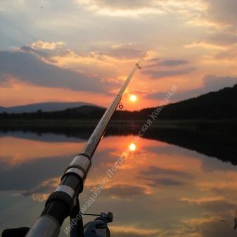 Продаётся Пруд 20 га. Воронежская обл.. Разные Города и Регионы РОССИИ и НЕ ТОЛЬКО