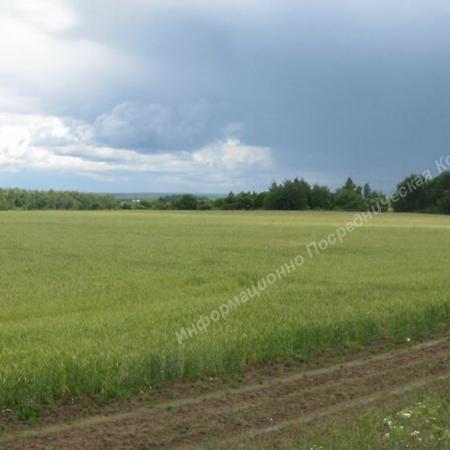 Продаётся участок в Саратовской обл. 187 га. Разные Города и Регионы РОССИИ и НЕ ТОЛЬКО