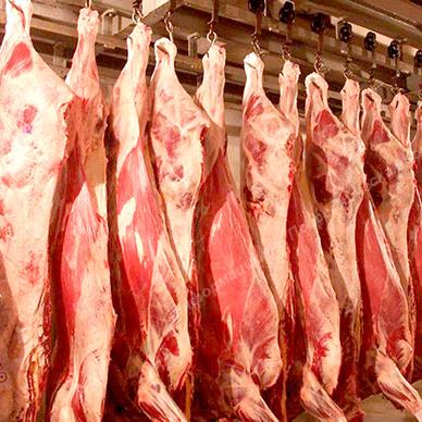 Заявка на мясо говядины и баранины. Разные Города и Регионы РОССИИ и НЕ ТОЛЬКО