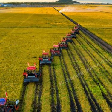 Агро хозяйство в Ульяновской обл. Площадь земли 21 тысяч 100 га.. Разные Города и Регионы РОССИИ и НЕ ТОЛЬКО