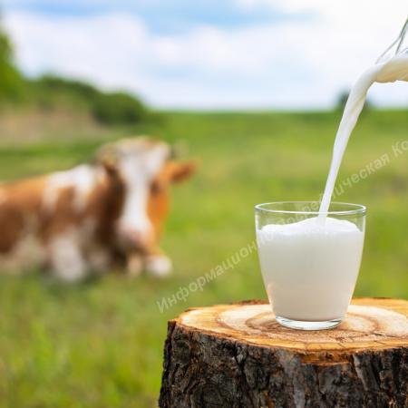 Продаётся в Ростовской области. Рабочее предприятие. Разные Города и Регионы РОССИИ и НЕ ТОЛЬКО