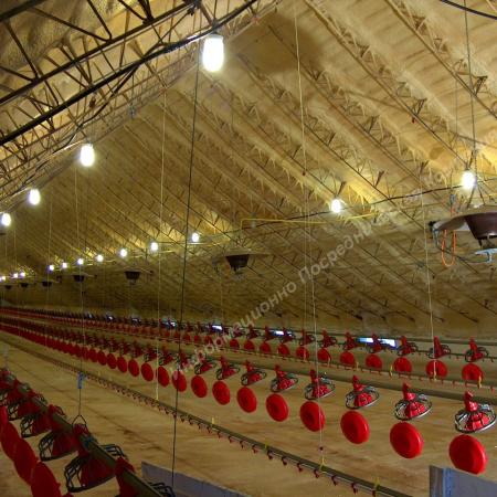 Продается бывшая птицефабрика в Ростовской обл.. Разные Города и Регионы РОССИИ и НЕ ТОЛЬКО