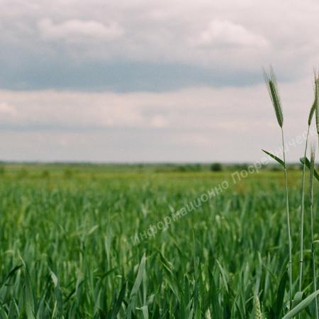 Агро Хозяйство в Республике Адыгея. Площадь участка 1.100 га. Адыгея