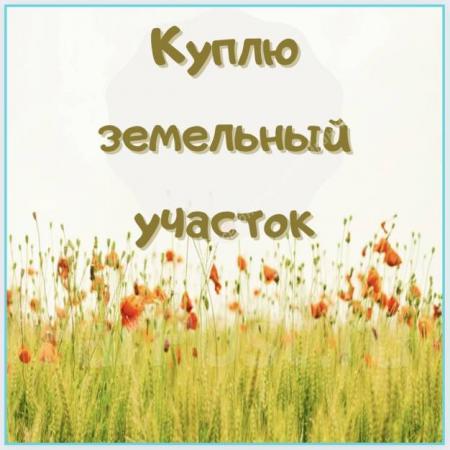 Крупная компания приобретёт земельный участок от 13 до 22 гектаров. Анапский район
