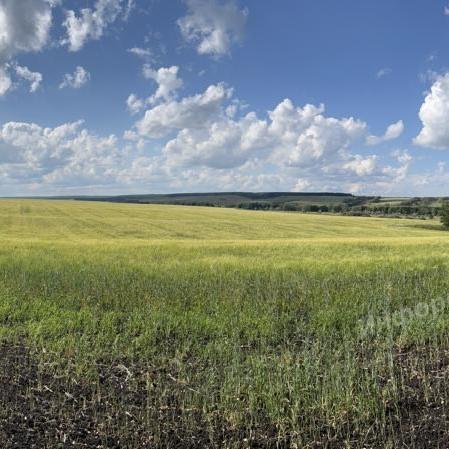 Продаётся Агро хозяйство в Ульяновской обл. 5.000 тысяч Га. Разные Города и Регионы РОССИИ и НЕ ТОЛЬКО