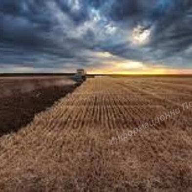 Продаётся Участок сельхоз назначения в Республике Мордовия.. Разные Города и Регионы РОССИИ и НЕ ТОЛЬКО