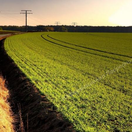 Участок возле г. Анапа. с х назначения площадью 15 ГА.. Анапский район