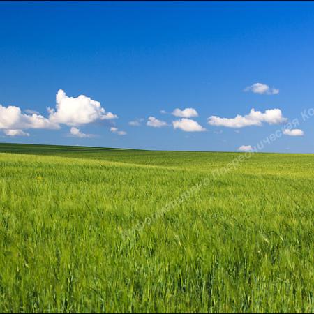 Продаётся участок в Московской области. Клинский район.. Разные Города и Регионы РОССИИ и НЕ ТОЛЬКО