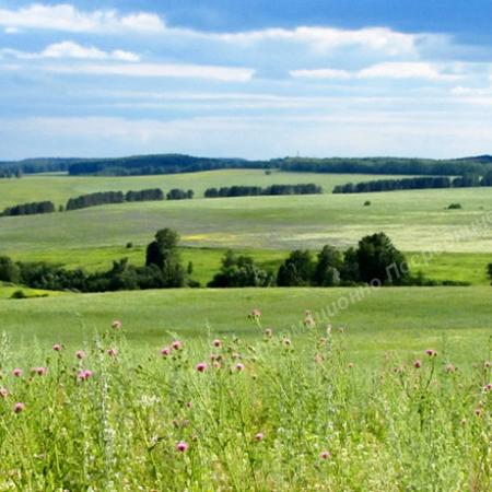 Продаётся Участок в Ульяновской области. 3.000 га. Разные Города и Регионы РОССИИ и НЕ ТОЛЬКО