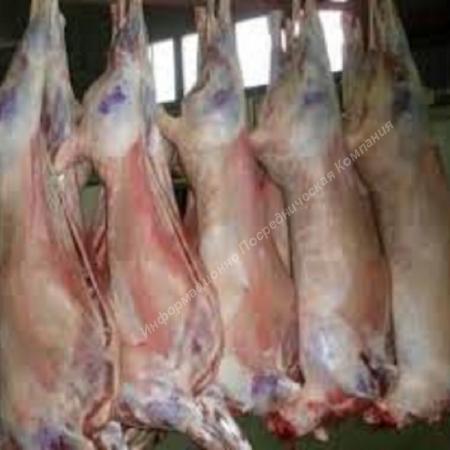 Продаётся оптом Баранина в Ставропольском Крае.. Разные Города и Регионы РОССИИ и НЕ ТОЛЬКО